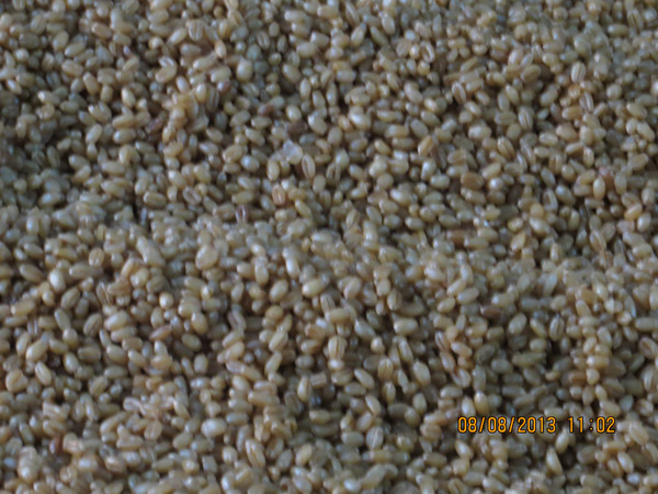 Dry Boiling grain