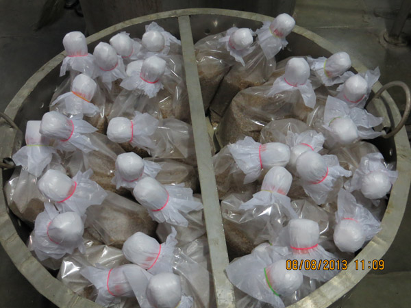 Bottles collected in the trays for transfer to sterilizer